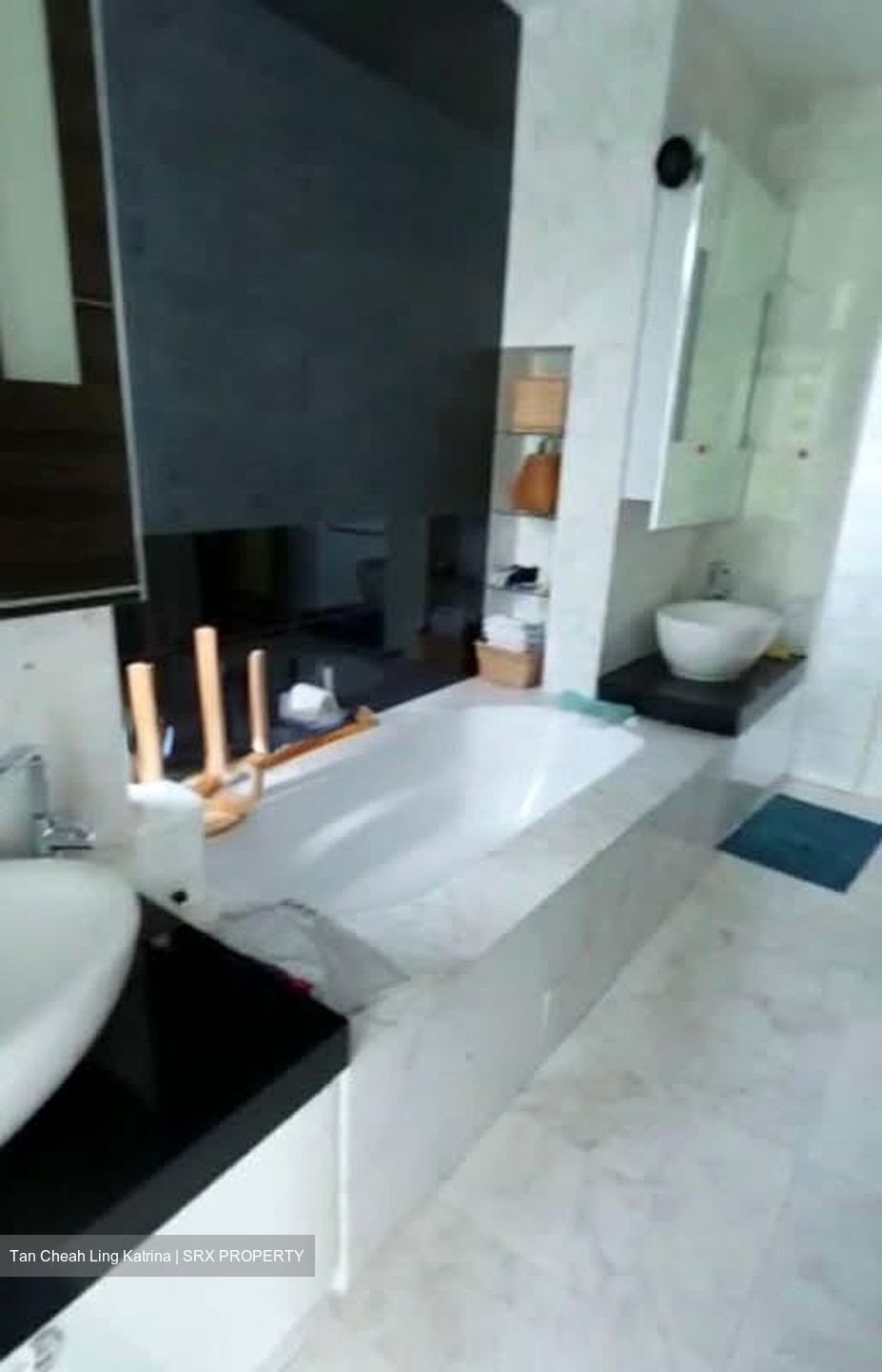 Orange Grove Residences (D10), Condominium #558951241